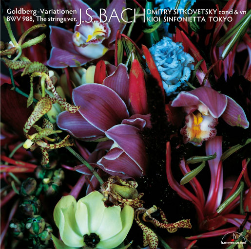 美女光着下体扒开内裤
